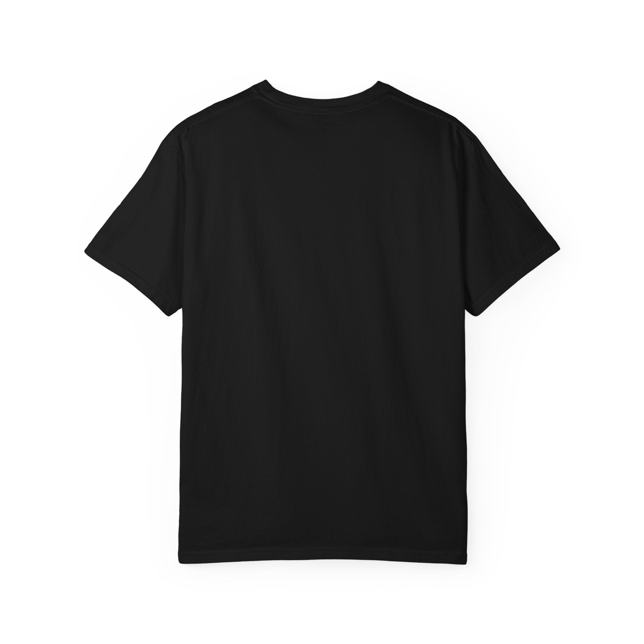 Bannon is Right Men's Tee