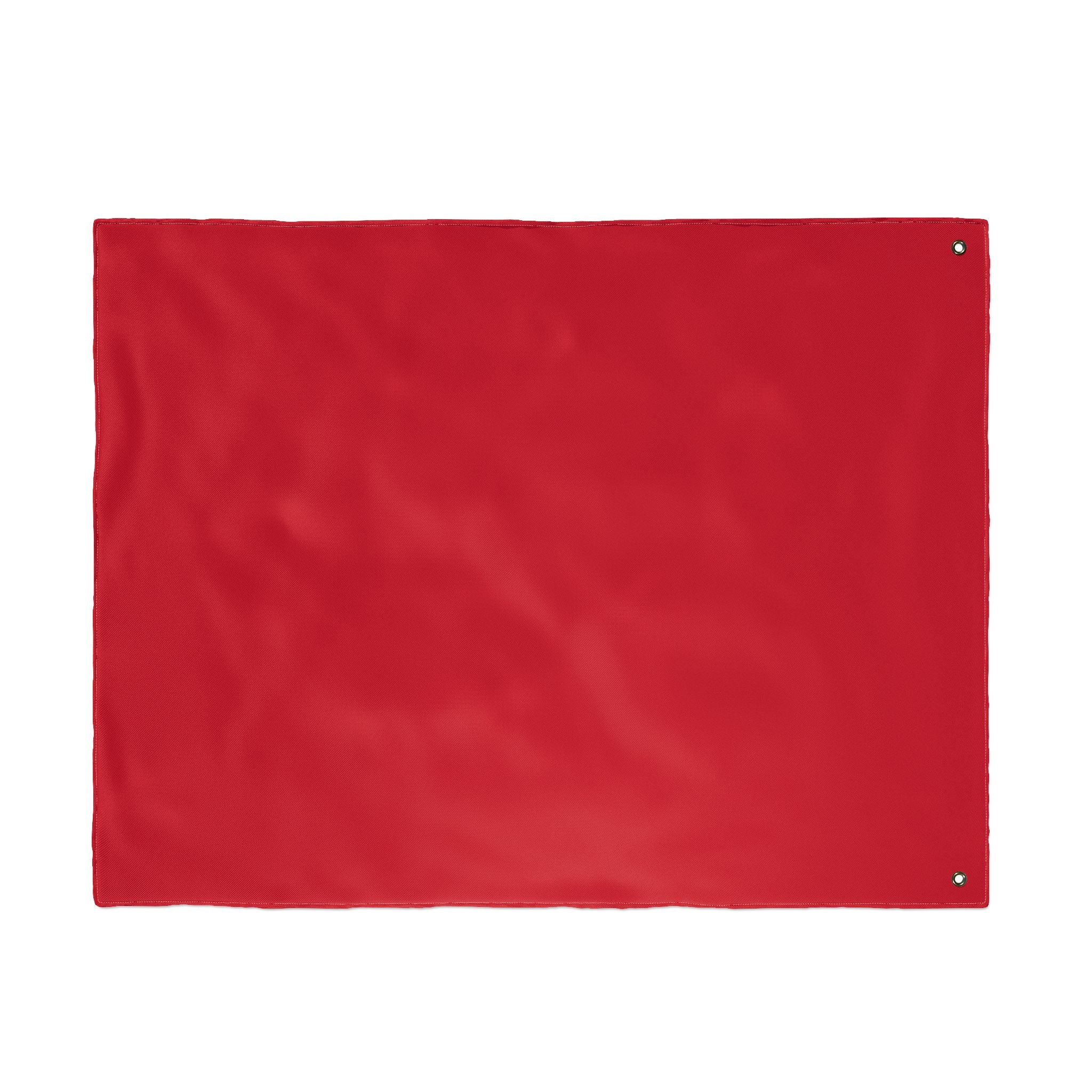 Bannon is Right Flag