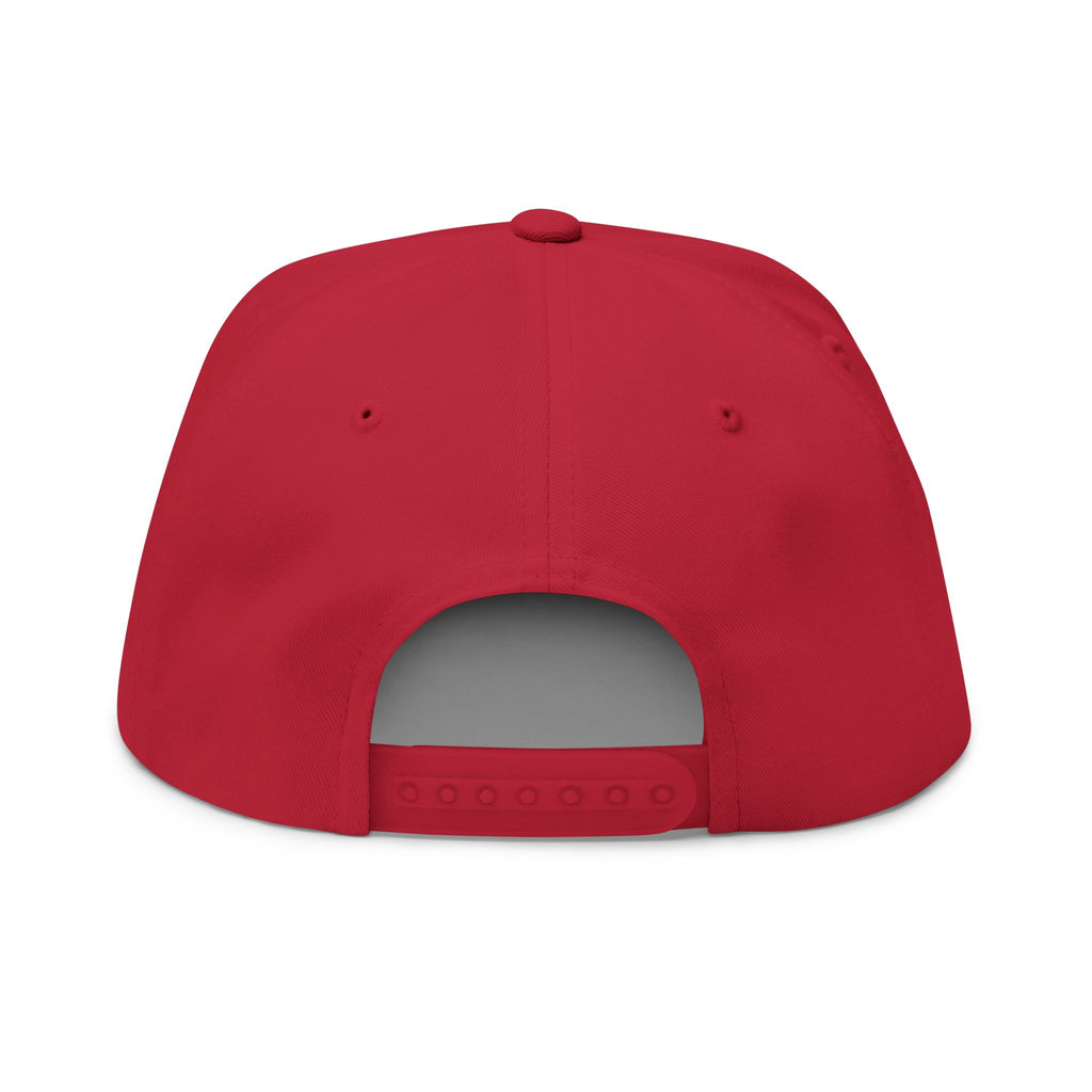 Embroidered Flat Bill Cap - Make Elon African Again, Trendy Baseball Hat, Gift for Fans, Statement Hat, Unique Fashion Accessory