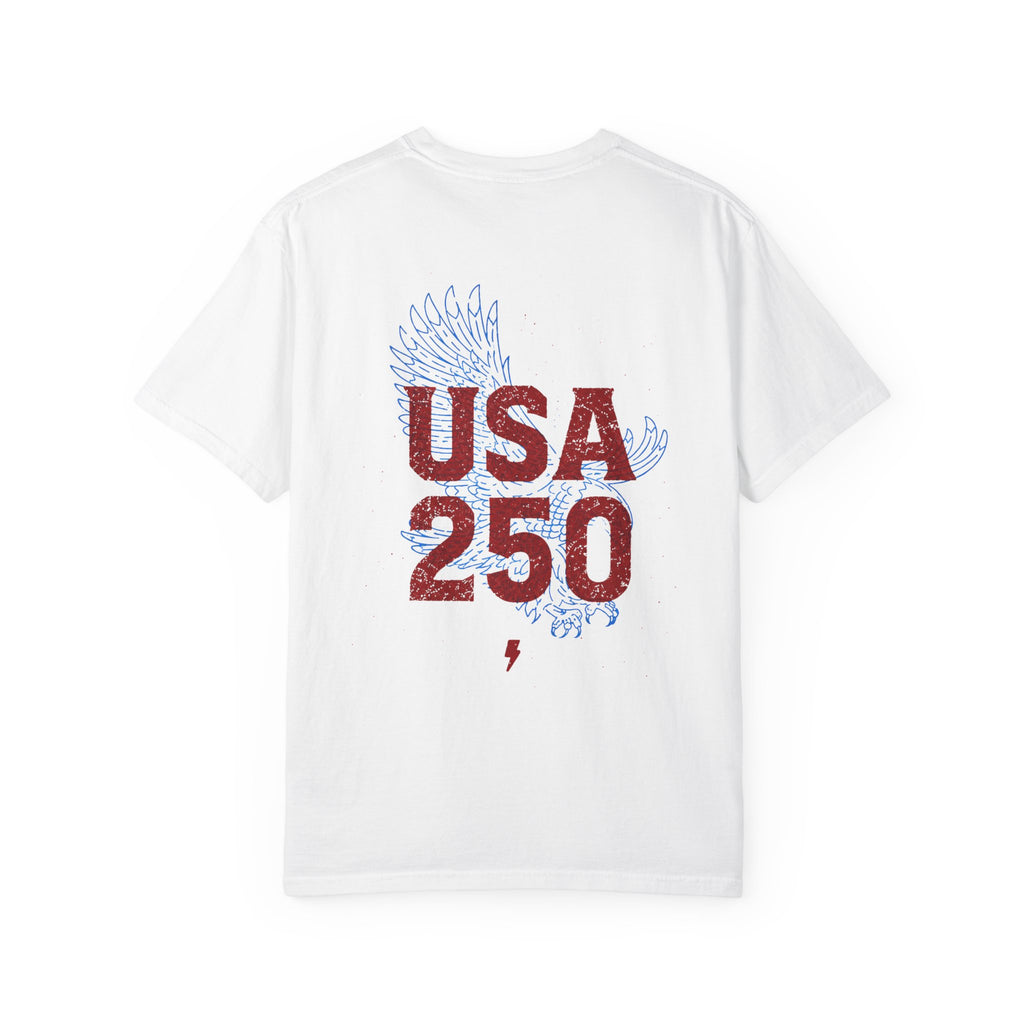USA 250 Garment-Dyed T-shirt